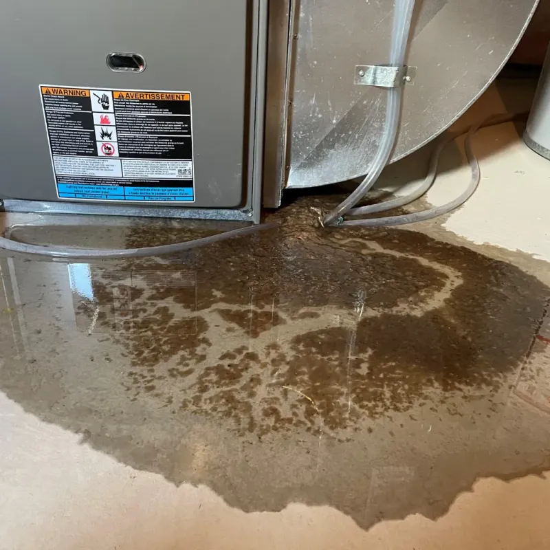 Appliance Leak Cleanup in Colville, WA